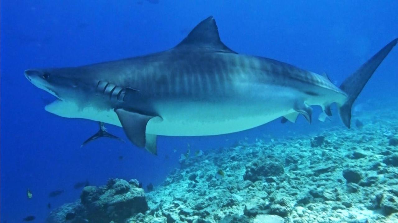 Endhaa, Divers Home Fuvahmulah Buitenkant foto