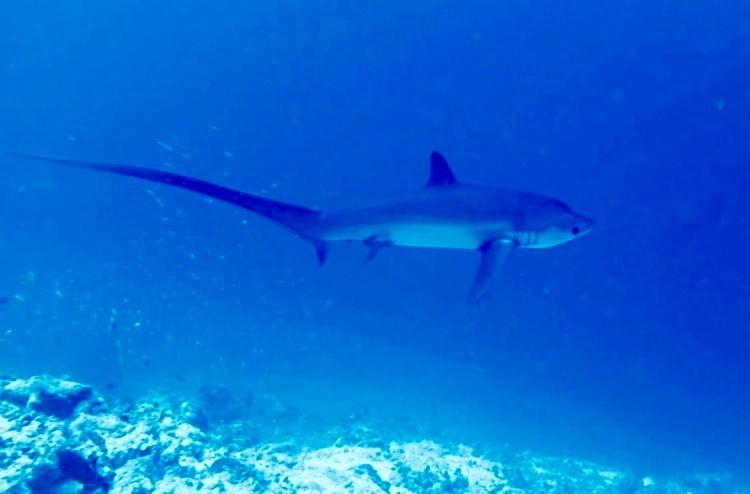 Endhaa, Divers Home Fuvahmulah Buitenkant foto