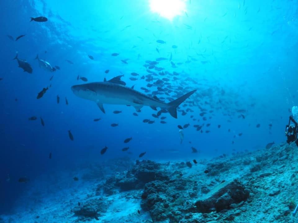 Endhaa, Divers Home Fuvahmulah Buitenkant foto